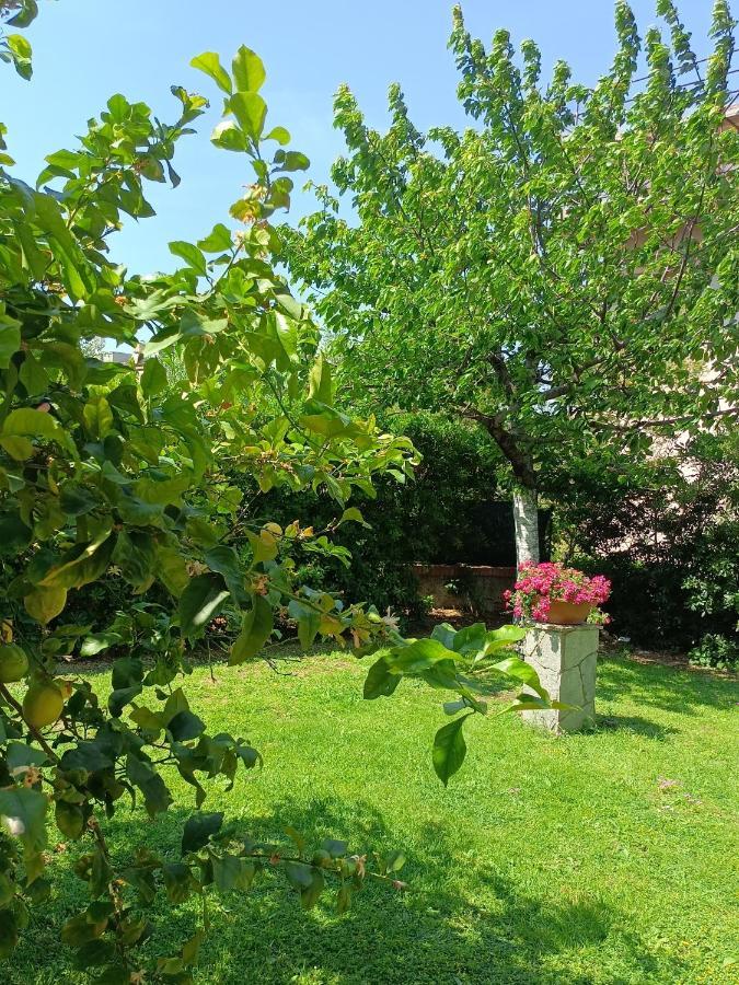 Il Giardino A Boccadasse Genua Buitenkant foto