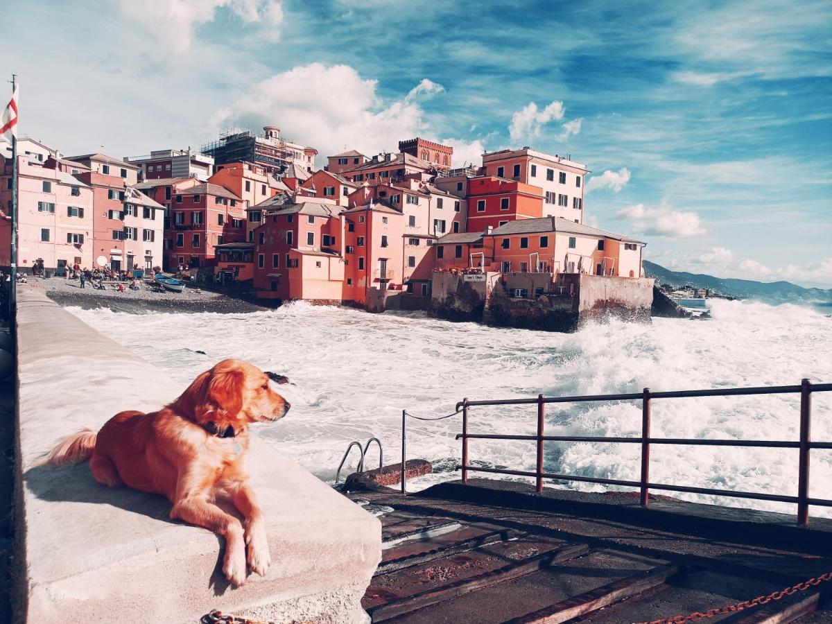 Il Giardino A Boccadasse Genua Buitenkant foto